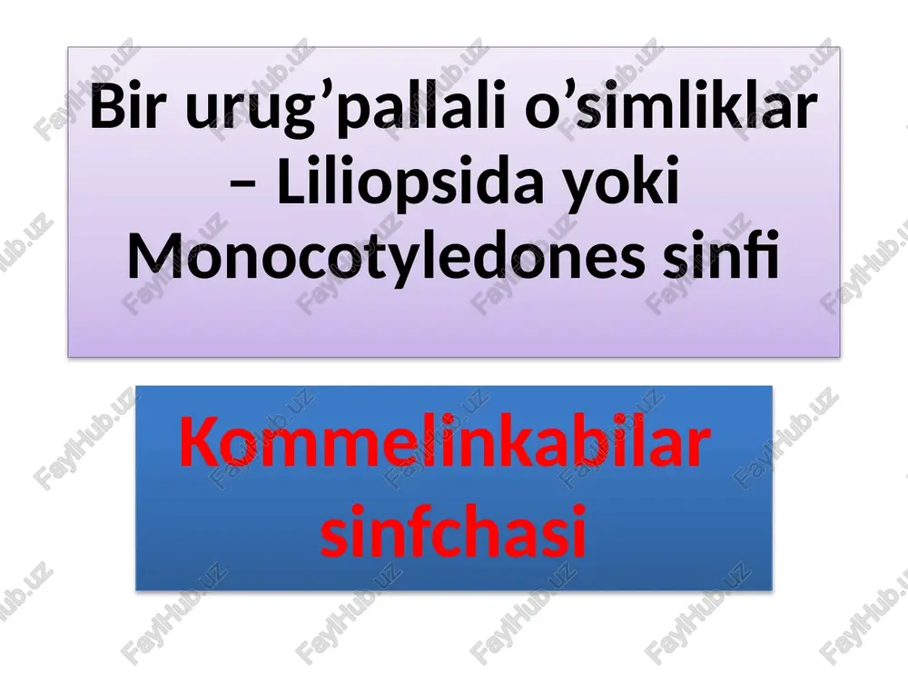 kommelinkabilarsinfchasi — PPTX