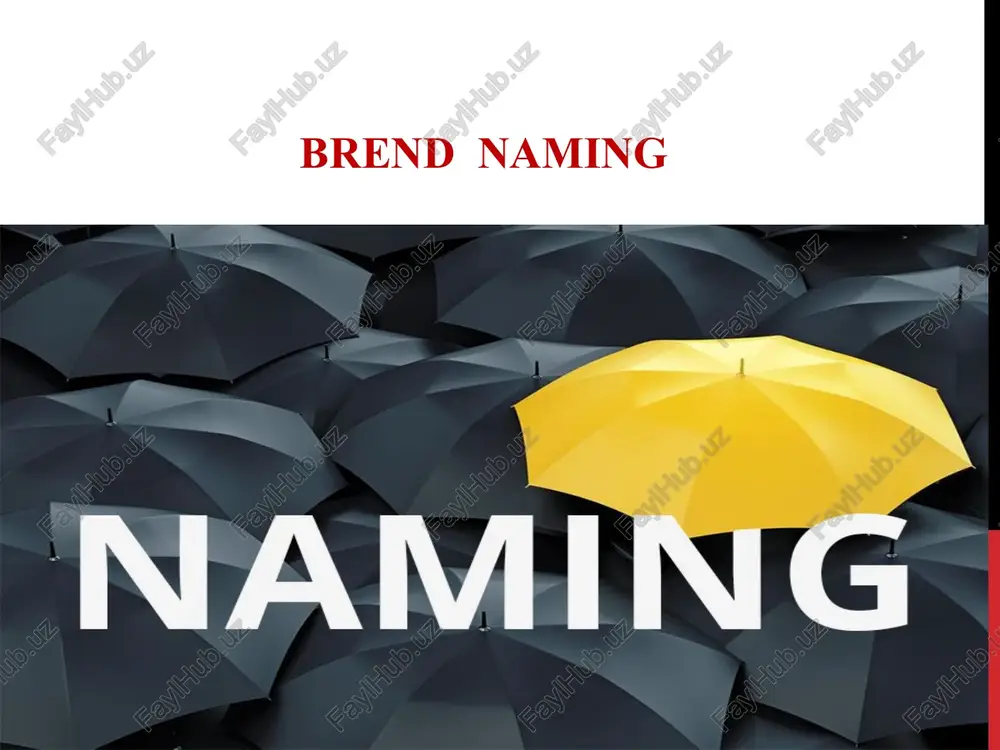 nomtanlashning asosiy qoidalari — PPT