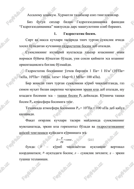 gidrogazodinamika — DOCX