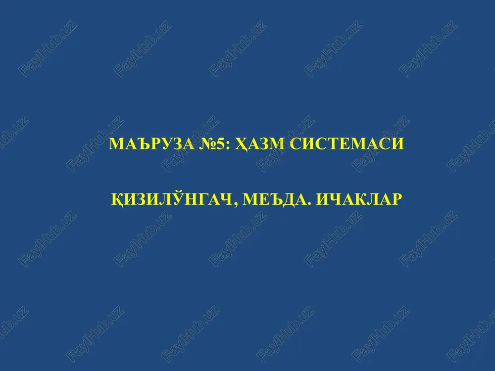 ma'ruza№5: hazm sistemasiqizilo'ngach, me'da. ichaklar — PPT