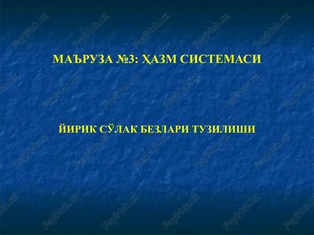 yirik so'lak bezlari — PPT