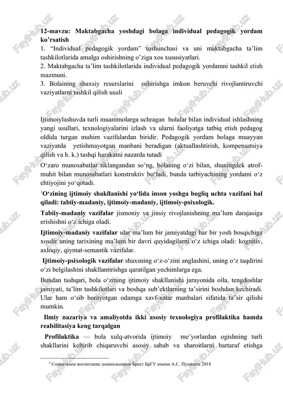 individual pedagogik yordam — DOCX