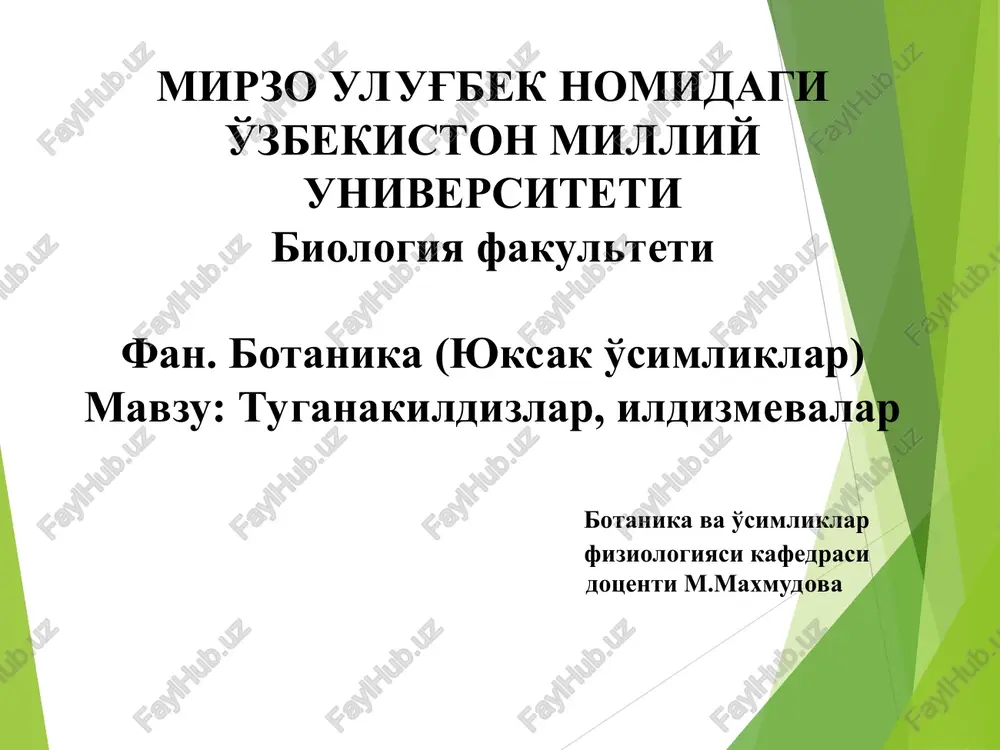 tuganakildizlar va ildizmevalar — PPT