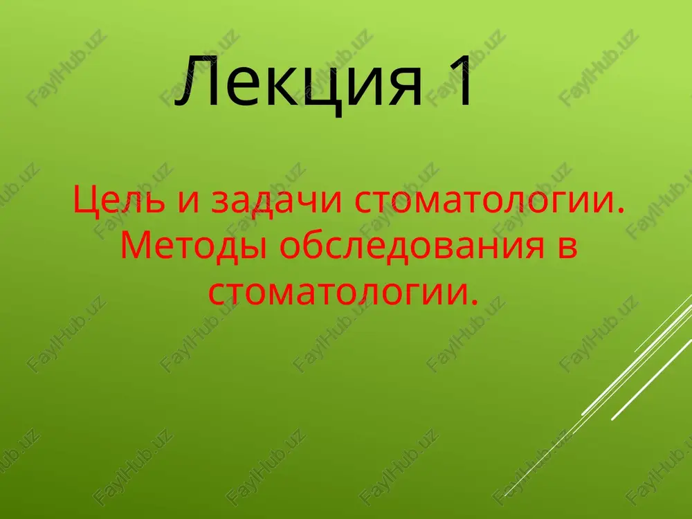 lektsiya 1 — PPTX
