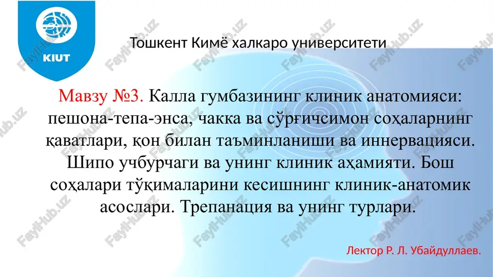 kallagumbazining klinika anatomiyasi — PPTX