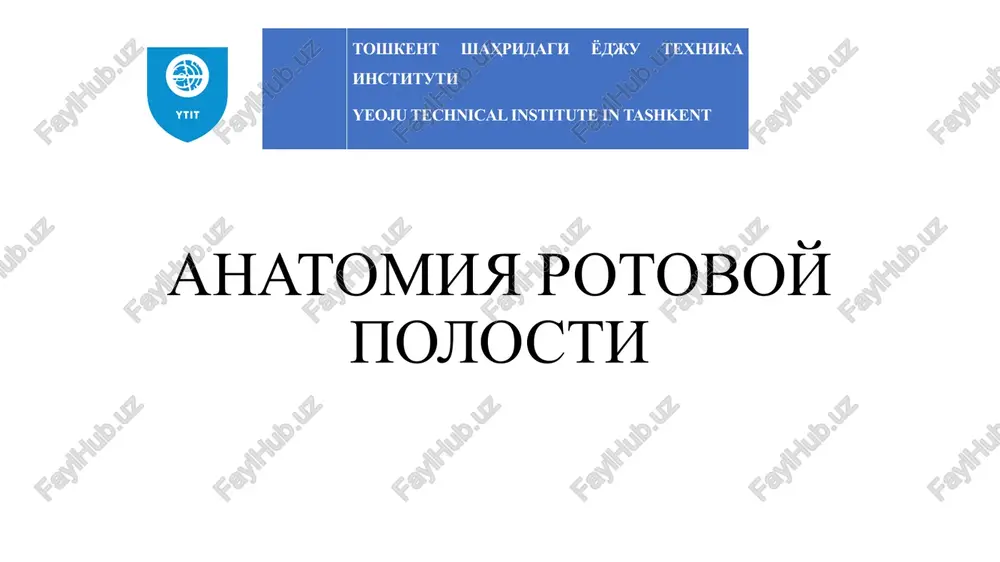 anatomiya rotovoy polosti — PPTX
