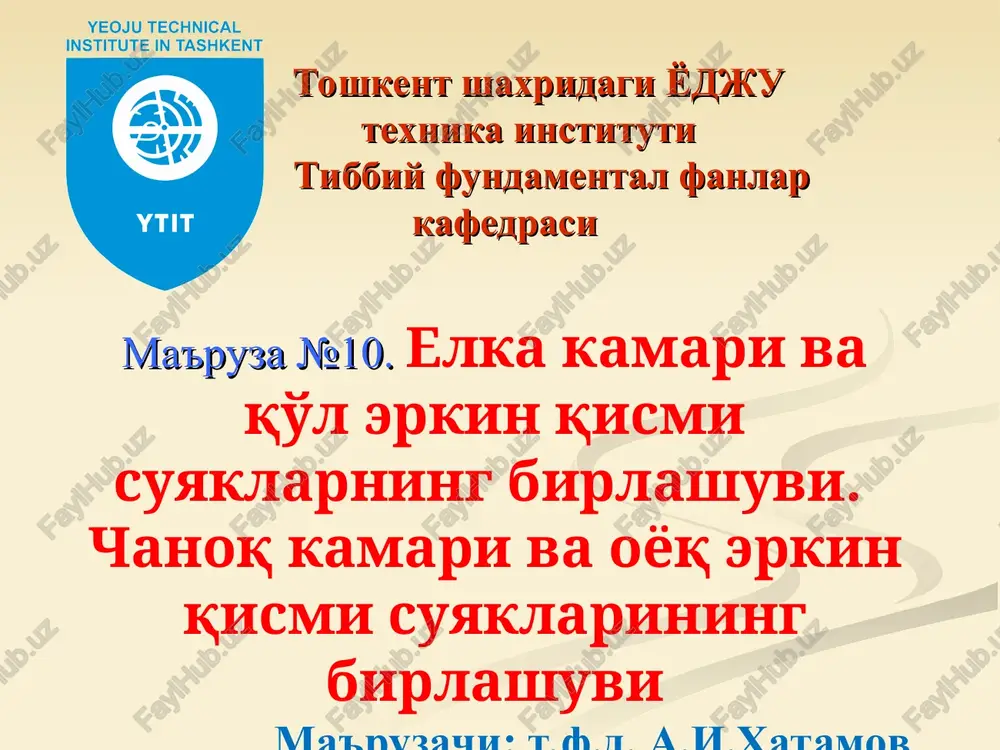 ma'ruza №10 — PPT