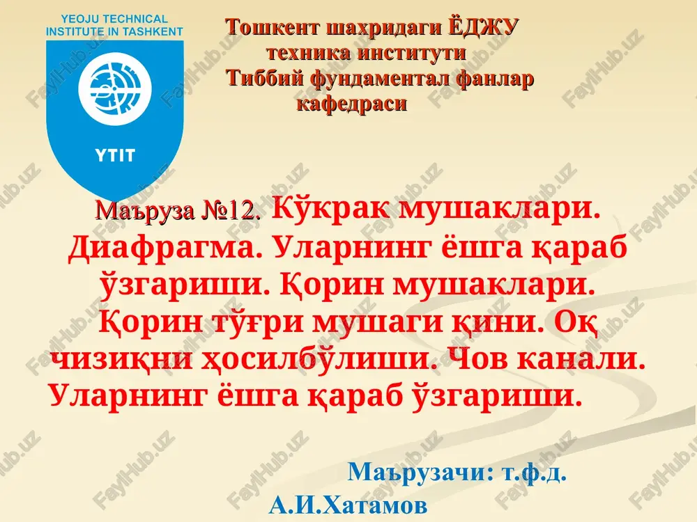 ko'krak mushaklari — PPT
