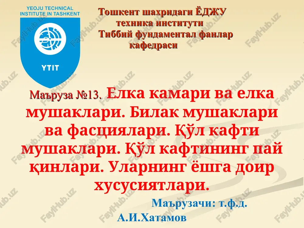 elka kamari va elka mushaklari — PPT