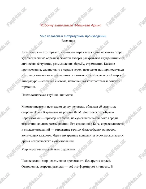 mir cheloveka v literaturnom proizvedenii — DOCX