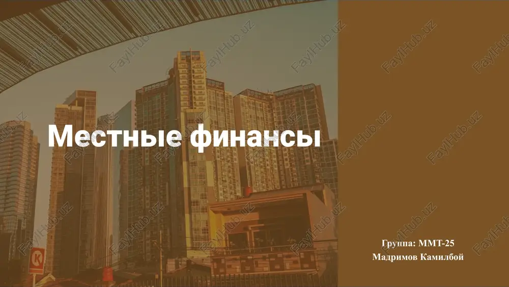 mestnie finansi — PPTX
