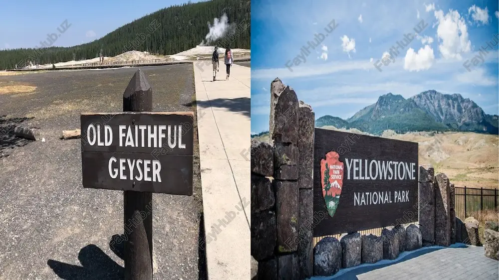 yellowstone milliy bog'i — PPTX