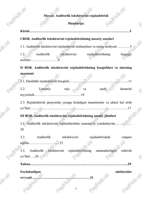 auditorlik tekshiruvini rejalashtirish — DOCX