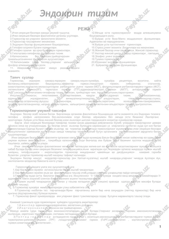 endokrin tizim — DOC