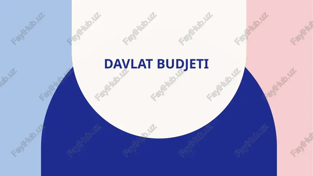 davlat budjeti — PPTX