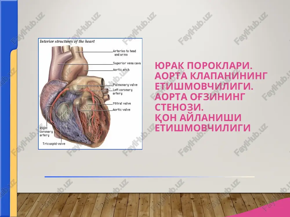 aorta klapanining etishmovchiligi — PPT