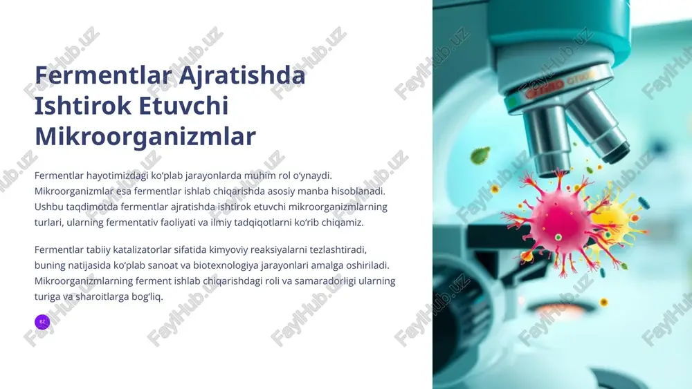 fermentlar ajratishda ishtirok etuvchi mikroorganizmlar — PPTX