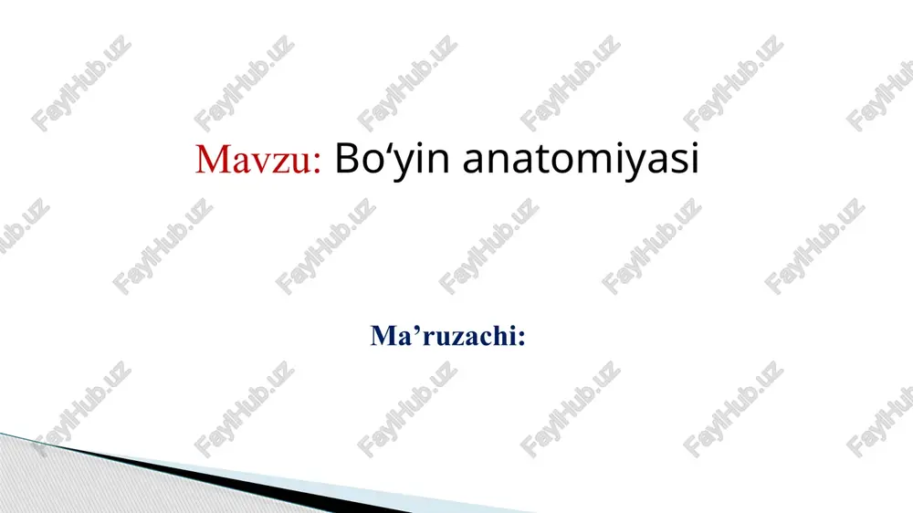 bo‘yin anatomiyasi — PPTX