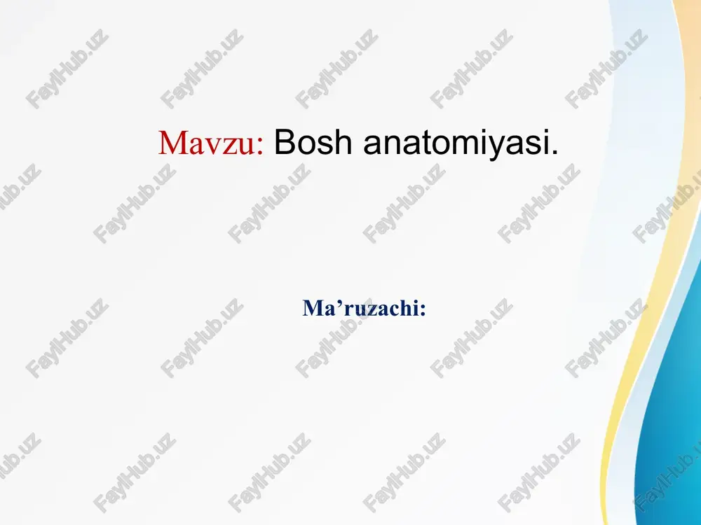boshanatomiyasi — PPTX