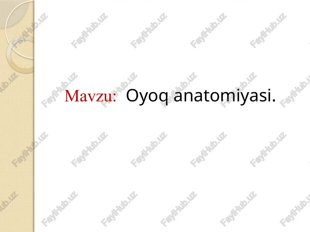 oyoqanatomiyasi — PPTX