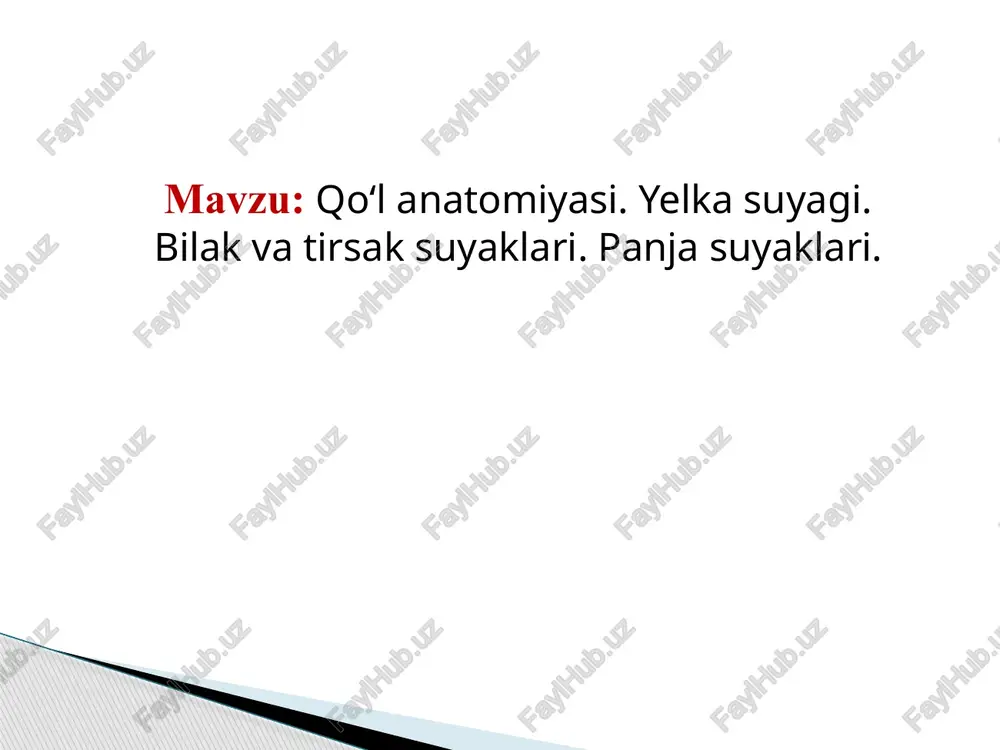 qo‘lanatomiyasi — PPTX