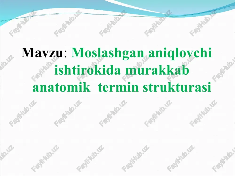 moslashgan aniqlovchi ishtirokidamurakkab anatomik termin strukturasi — PPT