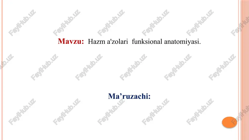 hazma'zolarifunksionalanatomiyasi — PPTX