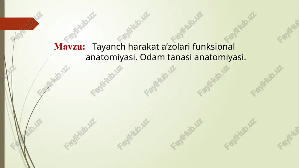 tayanch harakatlar ifunksional anatomiyasi.odam tanasianatomiyasi — PPTX