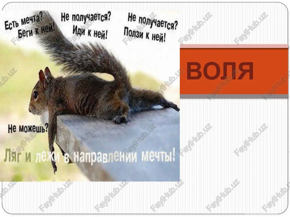 volya — PPTX