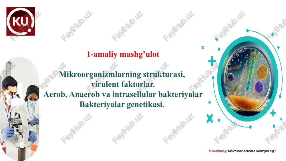 mikroorganizmlarning strukturasi — PPTX
