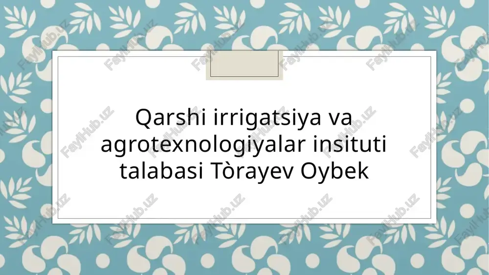 kichik beznis korxonalarini boshqarishni òziga xos xususiyatlari — PPTX