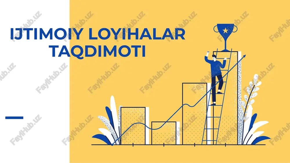 ijtimoiy loyihalar taqdimoti — PPTX