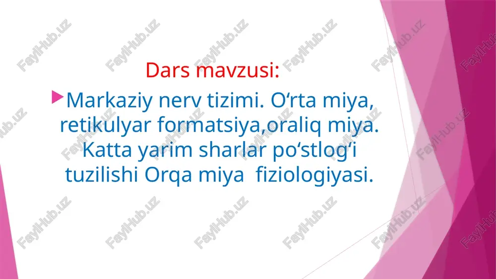 markaziynervtizimi — PPTX