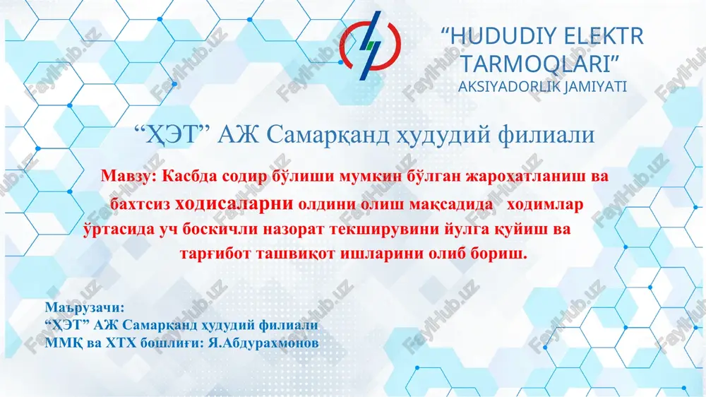 simenar "hududiy elektr tarmoqlari" — PPT