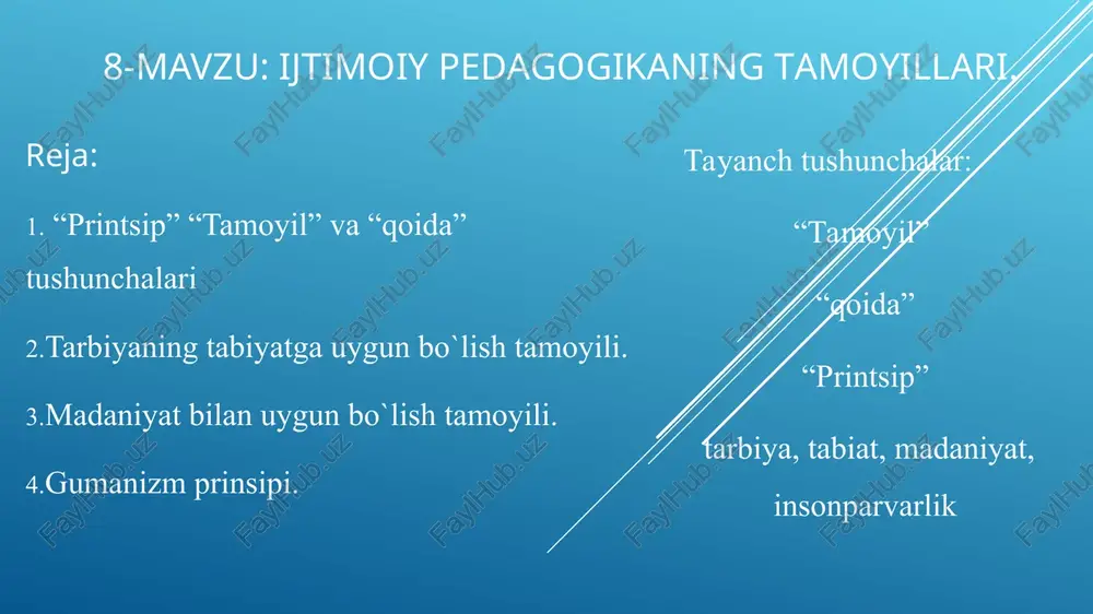 ijtimoiy pedagogikaning tamoyillari — PPT