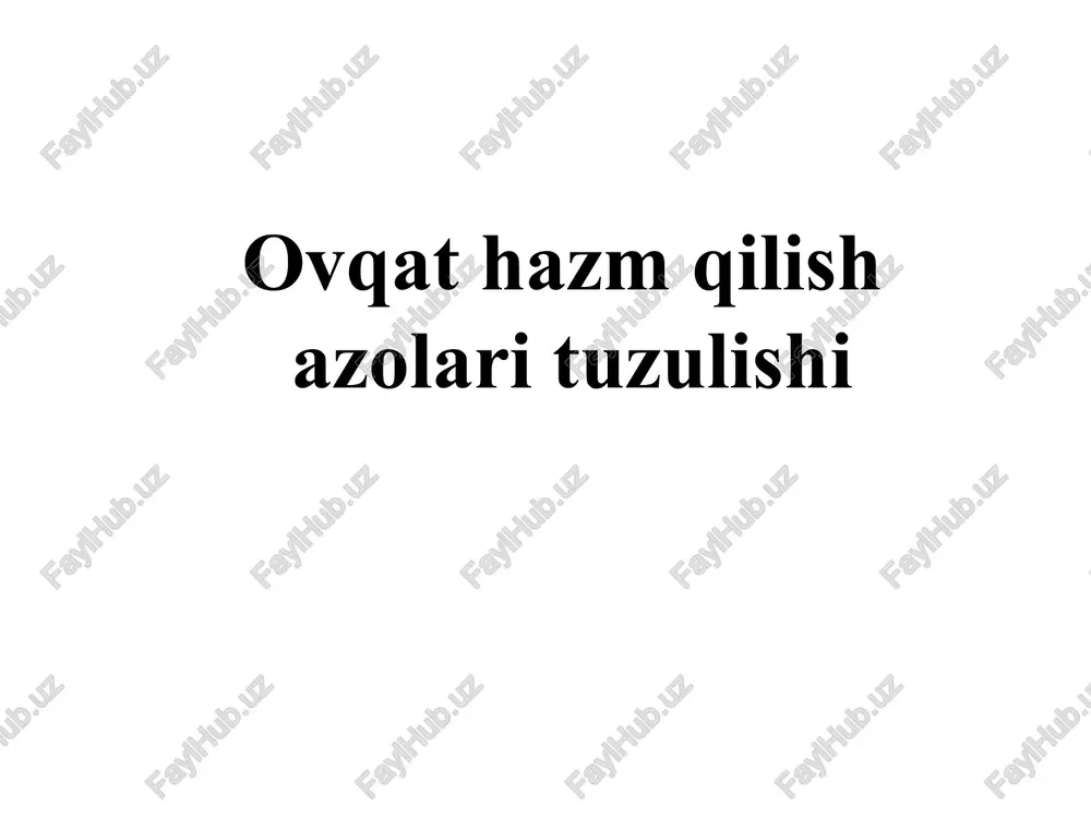 ovqat hazm qilish — PPT