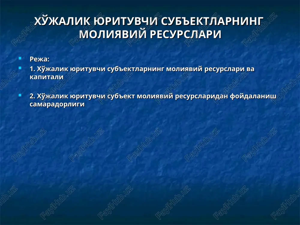 xo'jalik yurituvchi sub'ektlarningmoliyaviy resurslari — PPT
