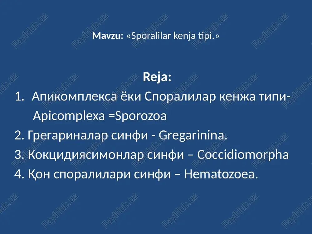 sporalilarkenjatipi — PPTX