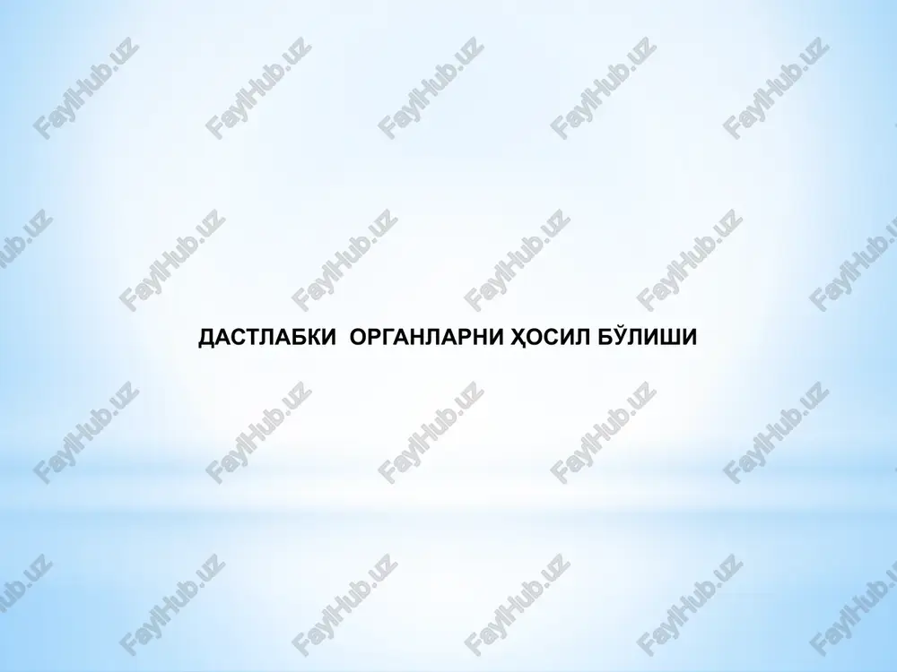 provezor organlar — PPTX