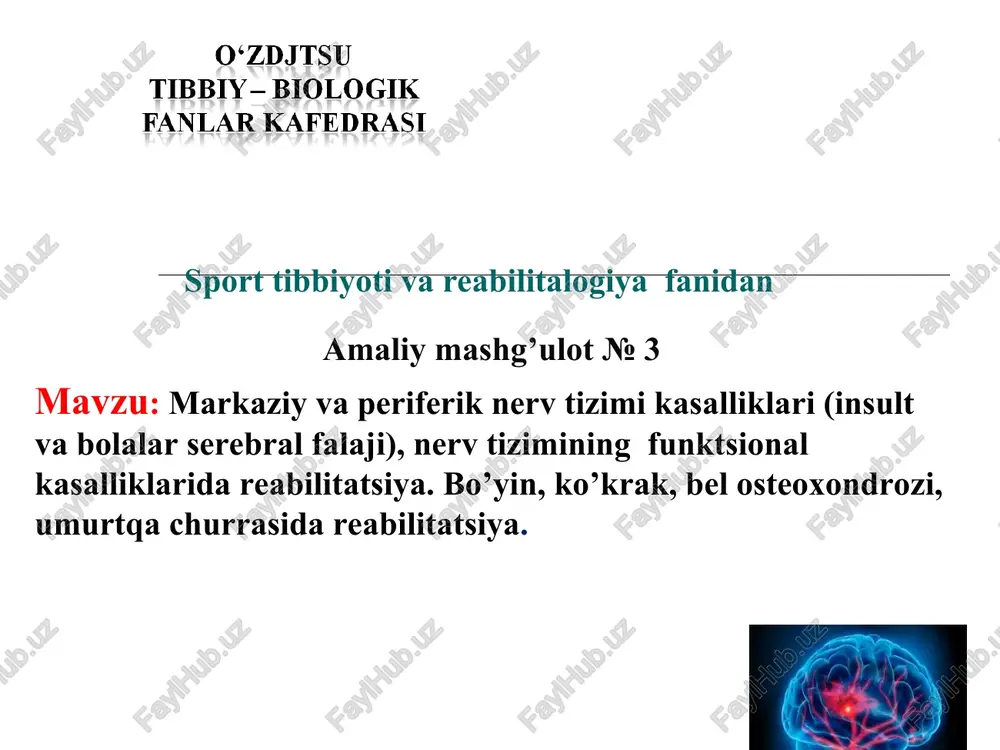 amaliy mashg’ulot№3 — PPT