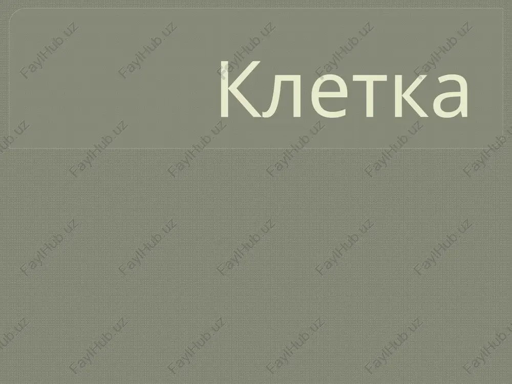 kletka — PPTX