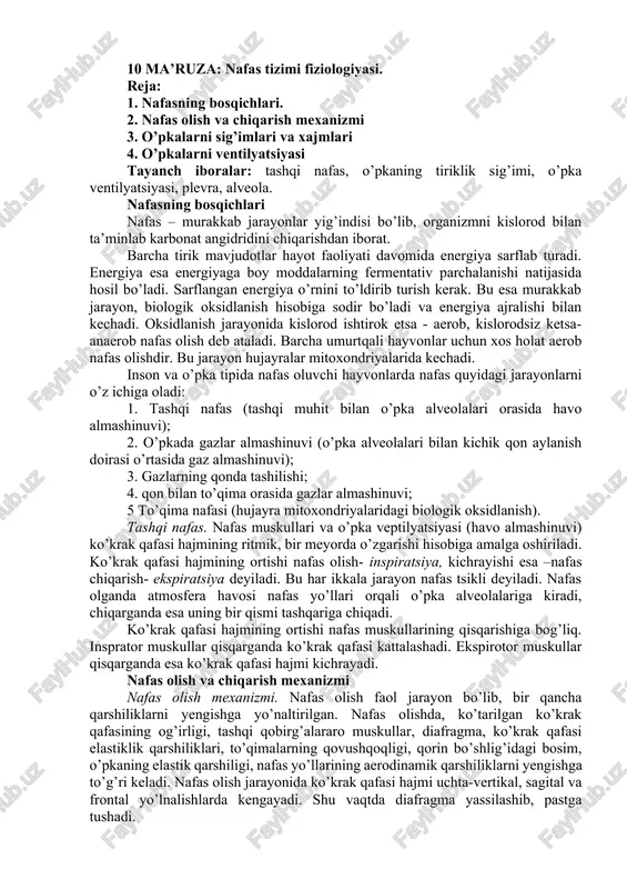 nafas tizimi fiziologiyasi — DOCX