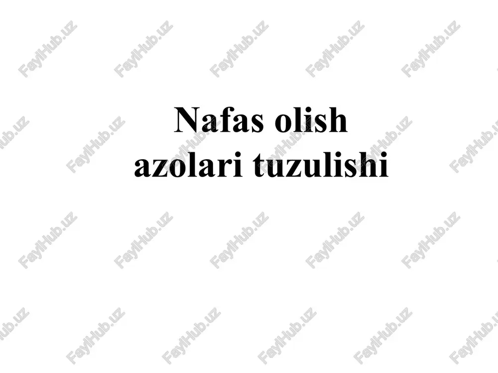 nafas olish azolari — PPT