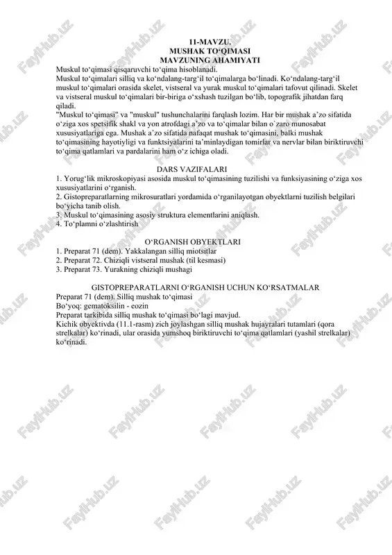 muskul to‘qimasi — DOCX