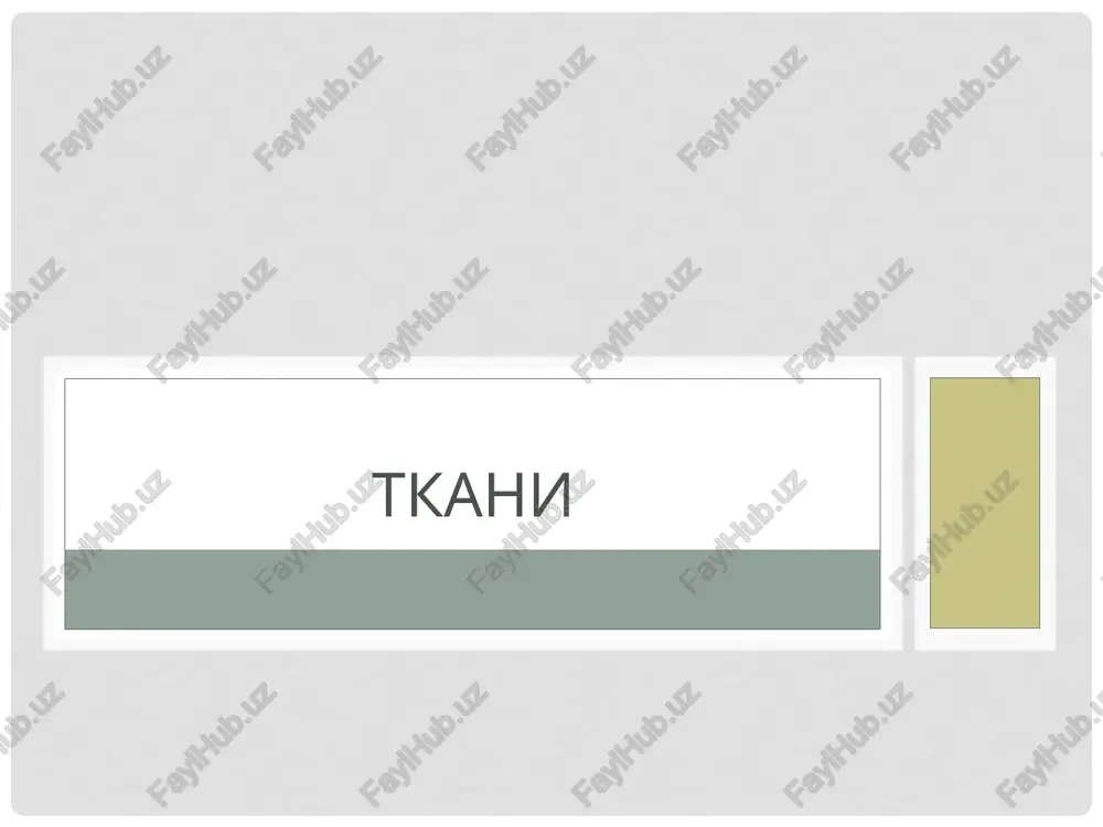 tkani — PPTX