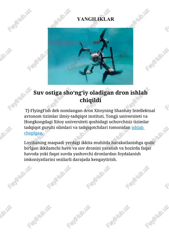chiyizqli dasturlash (chd) — DOCX