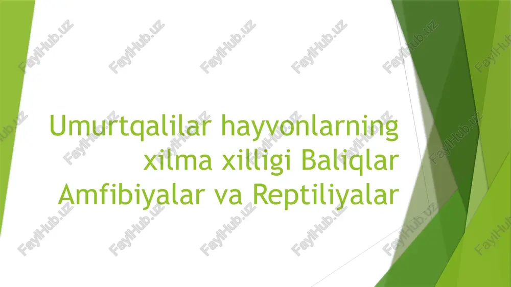 umurtqalilar hayvonlarning — PDF
