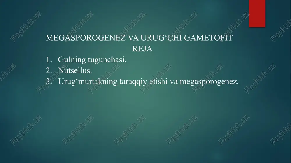 megasporogenez va urug‘chi gametofit — PPTX