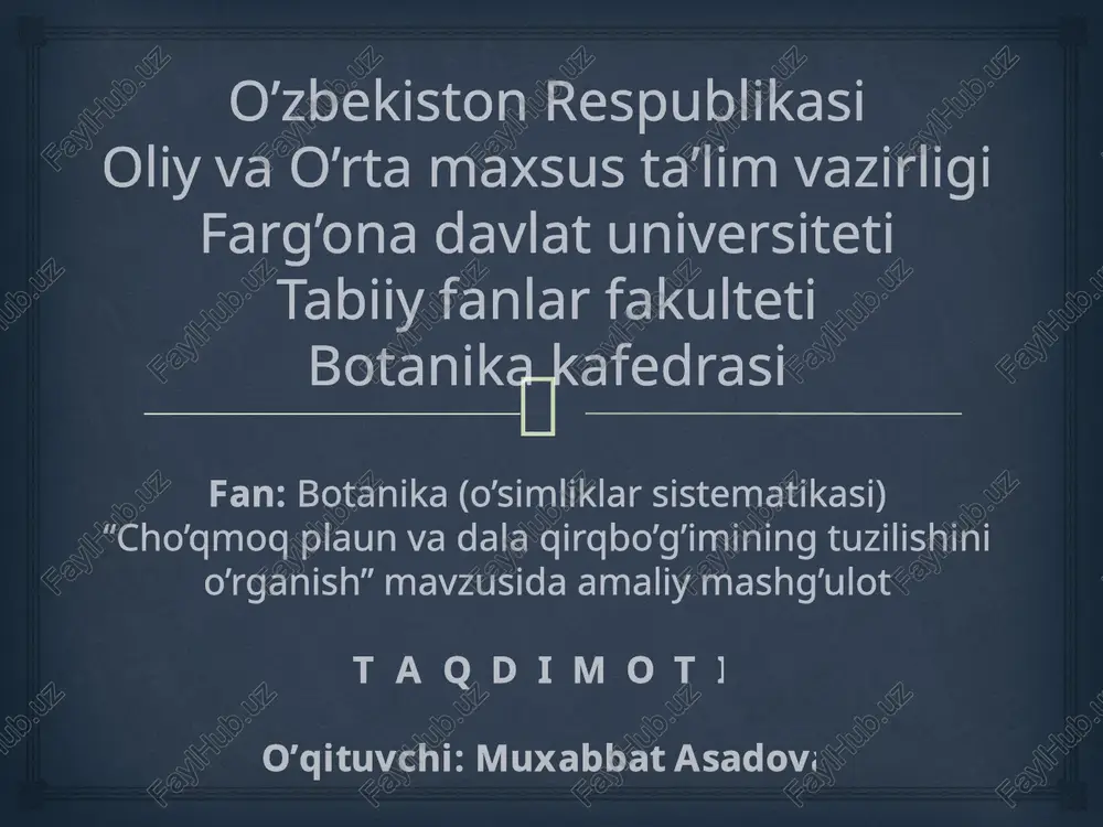 cho’qmoq plauni va da laqirq bo’g’imining tuzilishi — PPTX