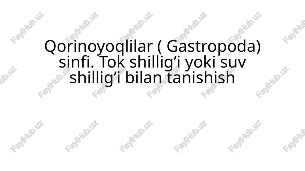 qorinoyoqlilar (gastropoda) sinfi — PPTX
